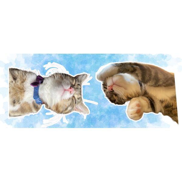 kitties 3 mug Thumbnail