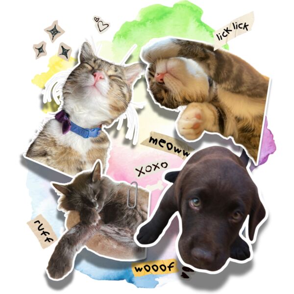 baby crosby Thumbnail